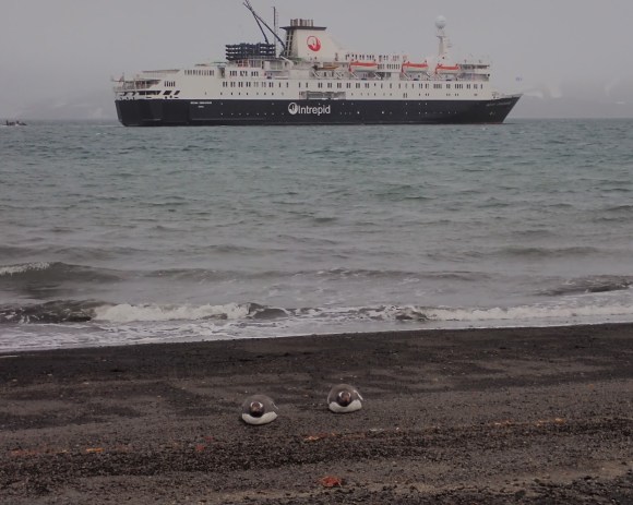 Expedition in die Antarktis, Wissenschaft und Abenteuer